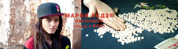 трава Коряжма