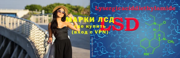 трава Коряжма