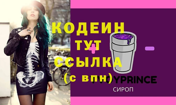 трава Коряжма