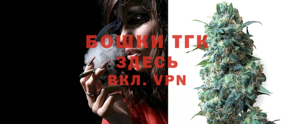 ECSTASY Корсаков