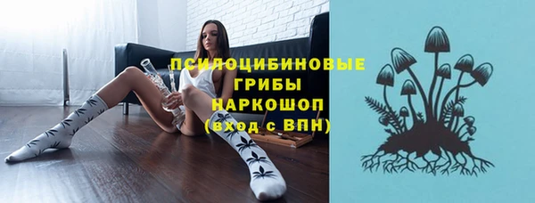 ECSTASY Корсаков