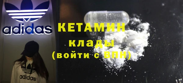 трава Коряжма