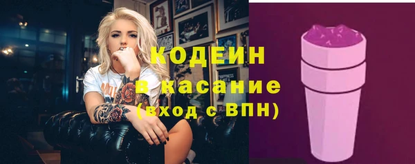 трава Коряжма