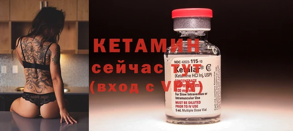 трава Коряжма