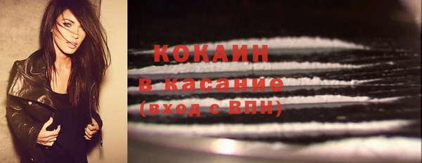 трава Коряжма