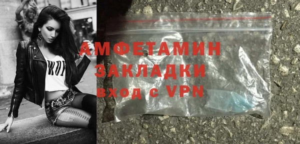 трава Коряжма