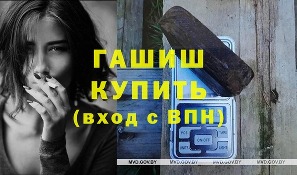 трава Коряжма