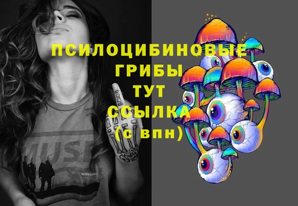 трава Коряжма