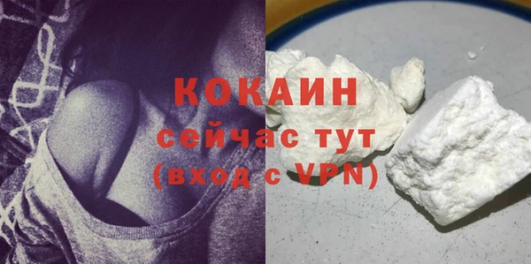 трава Коряжма