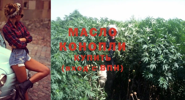 трава Коряжма