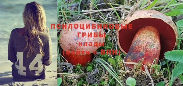 трава Коряжма