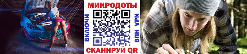 Купить где  Кедровый  Галлюциногенные грибы прущие грибы 